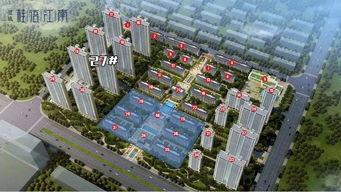 郑州蓝城最新事件爆料新闻,最新爆料揭示惊人真相 第1张 郑州蓝城最新事件爆料新闻,最新爆料揭示惊人真相 第1张